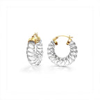 Clear Chunky Rope Hoop Earrings